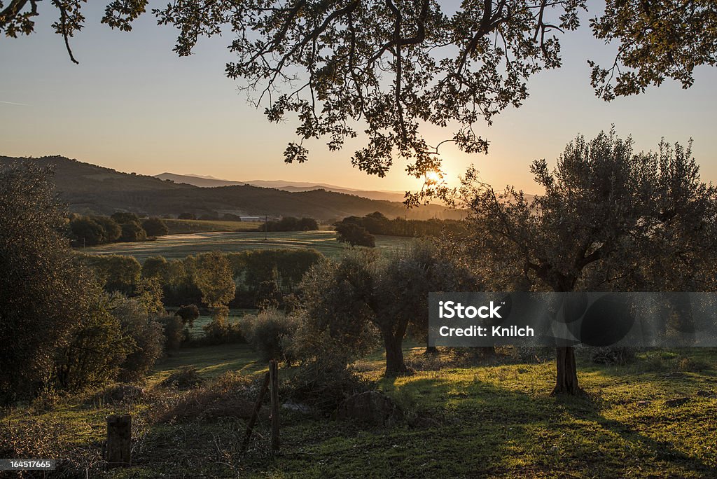 Nascer do sol em Toscana - Royalty-free Agricultura Foto de stock