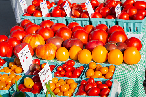 Early morning sunlight shines on fresh ripe tomatoes at a local farmer's market.