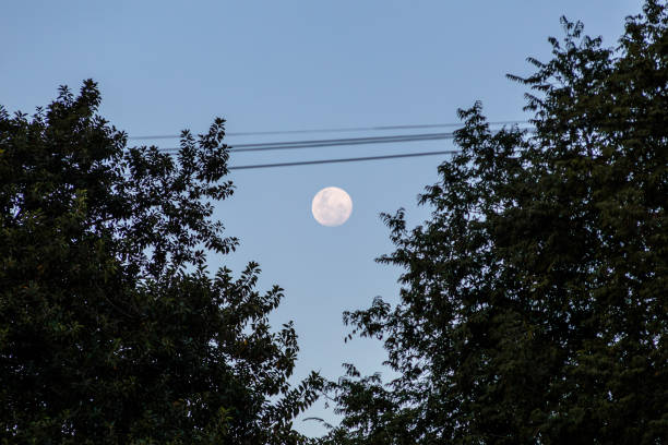 istock moonset in the sky of Rio de Janeiro. 1645206842