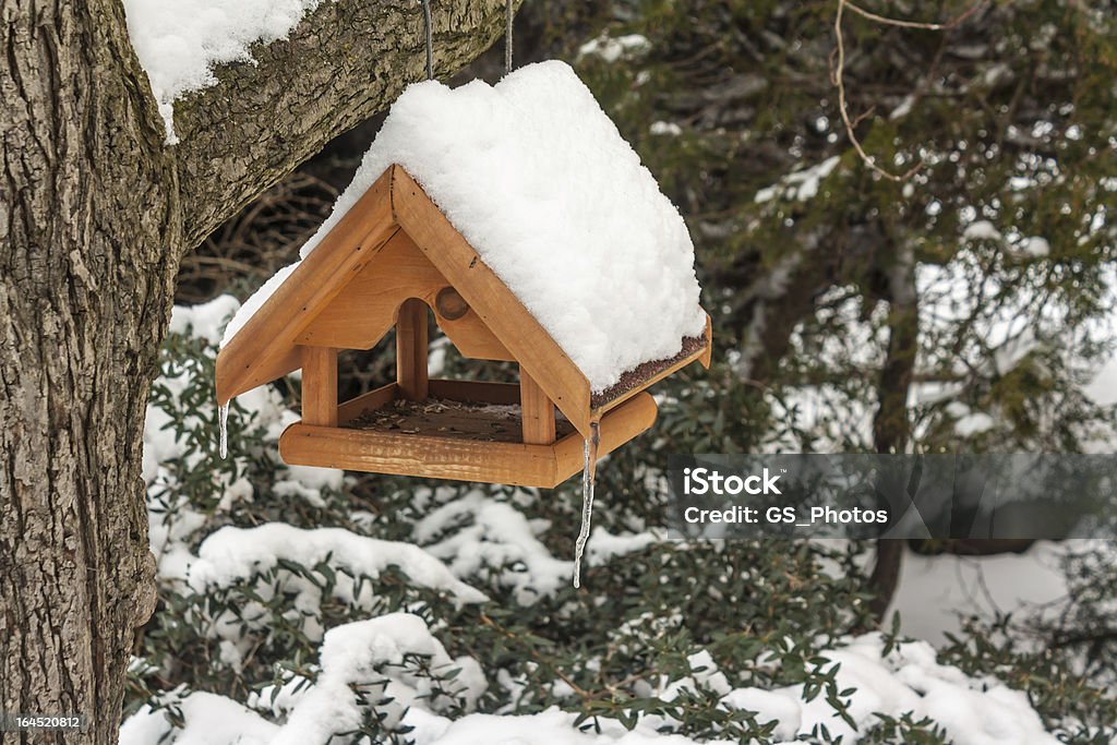Mangiatoia per uccelli - Foto stock royalty-free di Albero