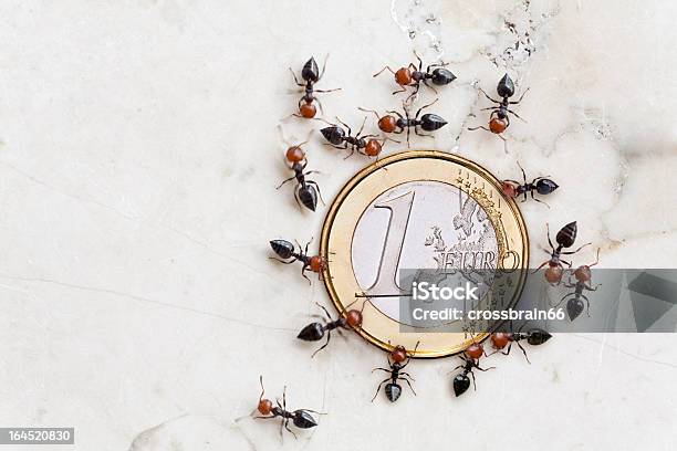 Eurocrisis Conceito De Formigas Guardar Moeda Euro - Fotografias de stock e mais imagens de Formiga - Formiga, Moeda, Amarelo