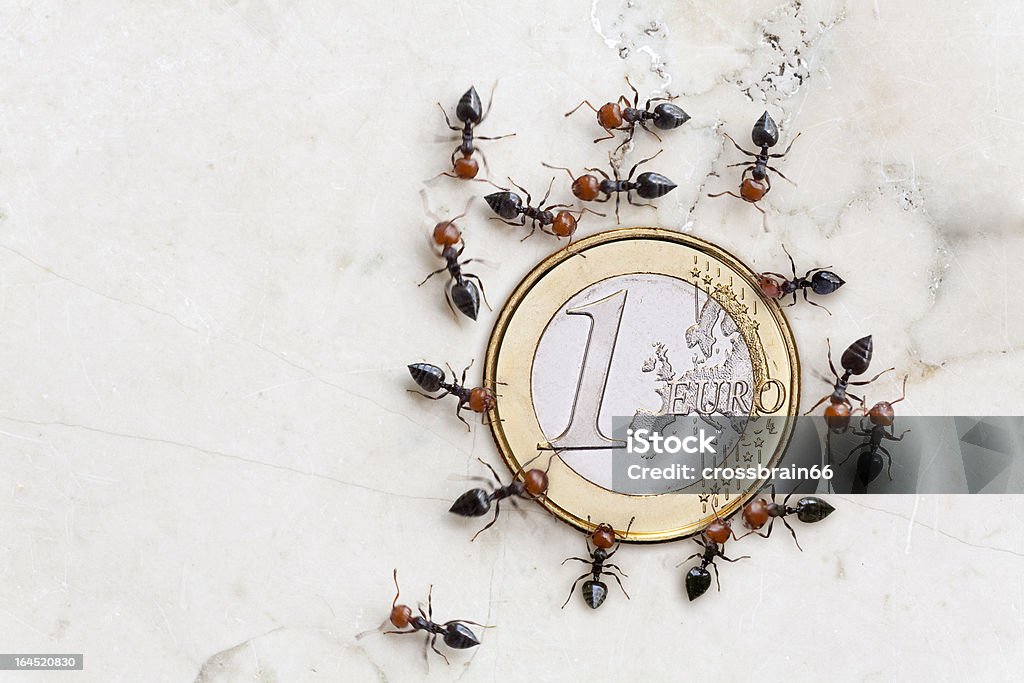 eurocrisis концепция ants сохранение евро Монеты - Стоковые фото Муравей роялти-фри