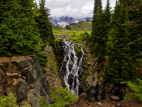 A small waterfall in Mt Rainier National Park, Washington, USA