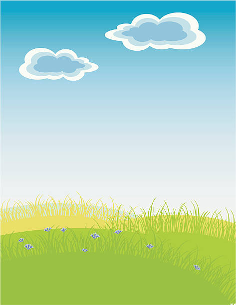 grass on a background vector art illustration