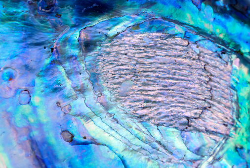 Labradorite with blue flash healing crystal close up