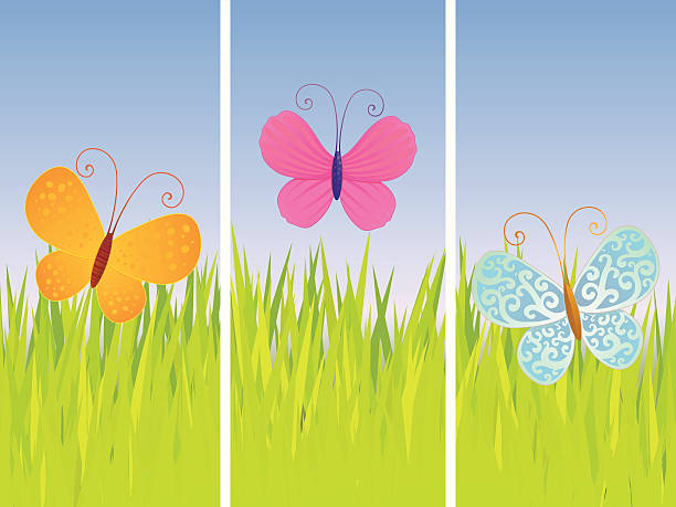 Butterflies III vector art illustration