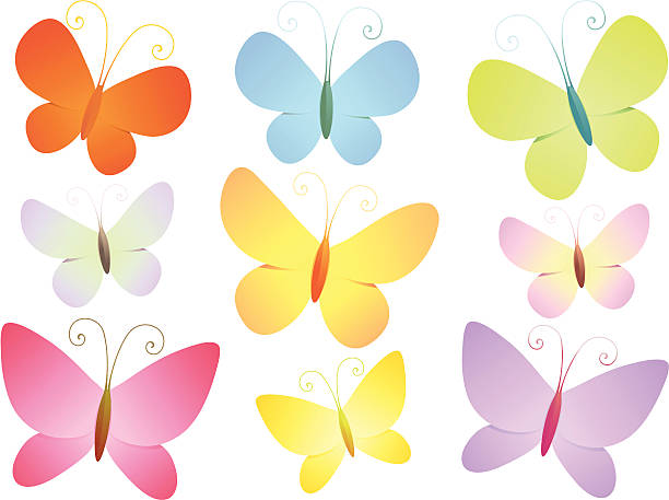 Butterflies I vector art illustration