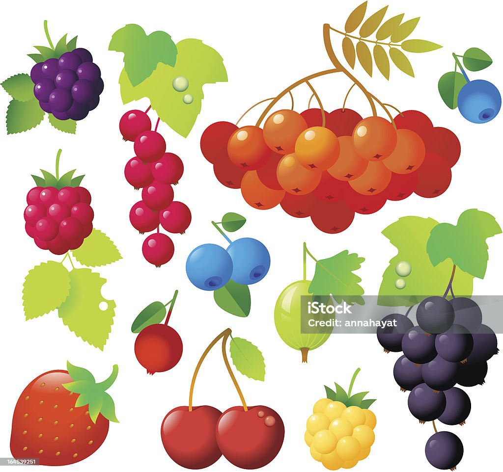 Berry Symbole - Lizenzfrei Amerikanische Heidelbeere Vektorgrafik