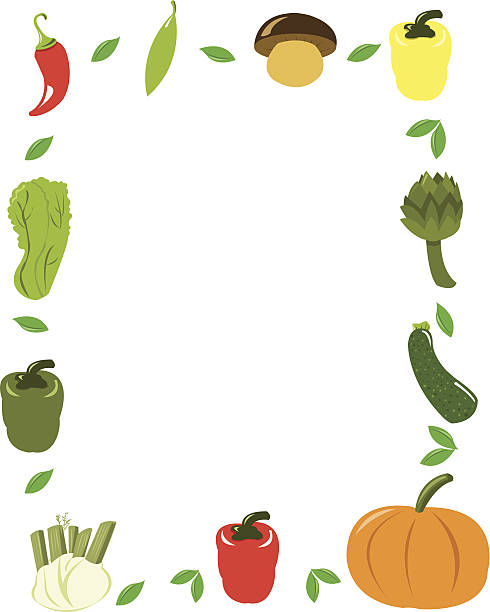 illustrazioni stock, clip art, cartoni animati e icone di tendenza di verdure vettoriale telaio - fennel ingredient vegetable isolated on white