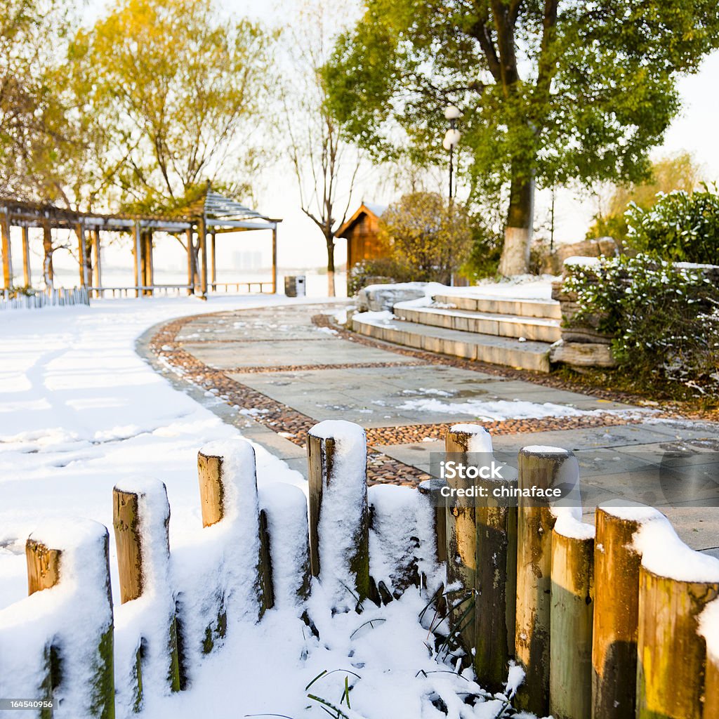 Giardino d'inverno - Foto stock royalty-free di Albero