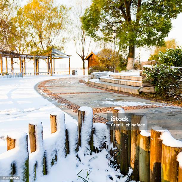 Giardino Dinverno - Fotografie stock e altre immagini di Albero - Albero, Ambientazione esterna, Bellezza naturale