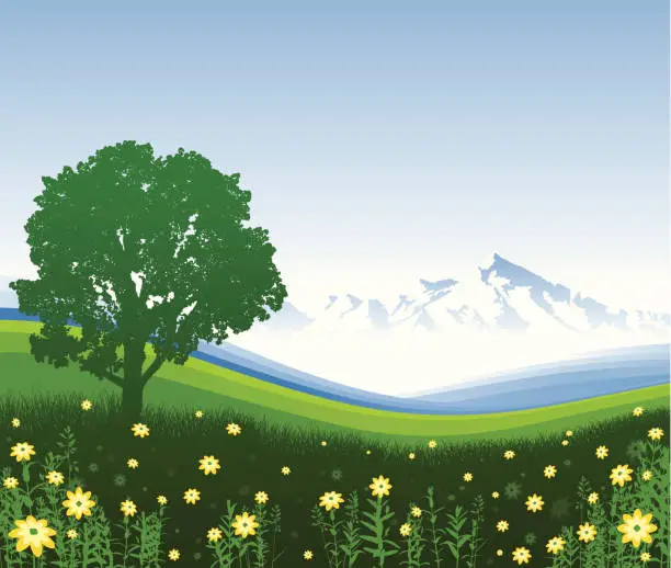 Vector illustration of Mountain Meadow