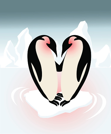 A penguin couple in love!