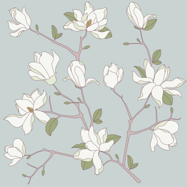 Seamless Magnolia Background vector art illustration