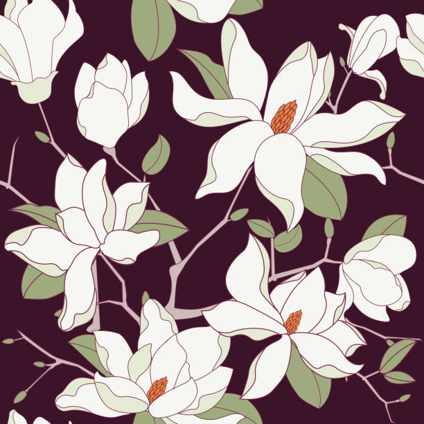 bildbanksillustrationer, clip art samt tecknat material och ikoner med seamless magnolia background - magnolia