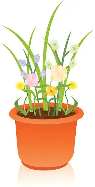 Vector illustration of Potted Flowers