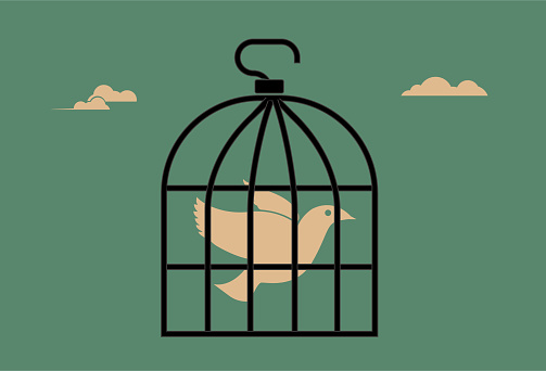 dove of peace in cage