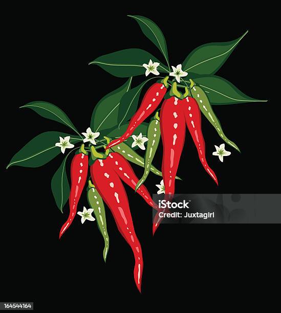 Chili Peppers Na Czarnym - Stockowe grafiki wektorowe i więcej obrazów Papryka chili - Papryka chili, Kwiat - Roślina, Ilustracja