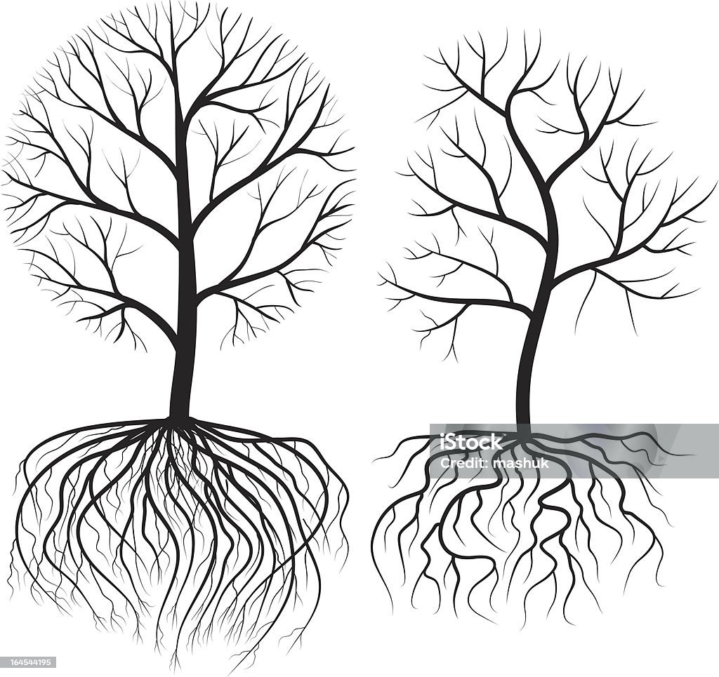 Zimę drzewa - Grafika wektorowa royalty-free (Roślina pnąca)