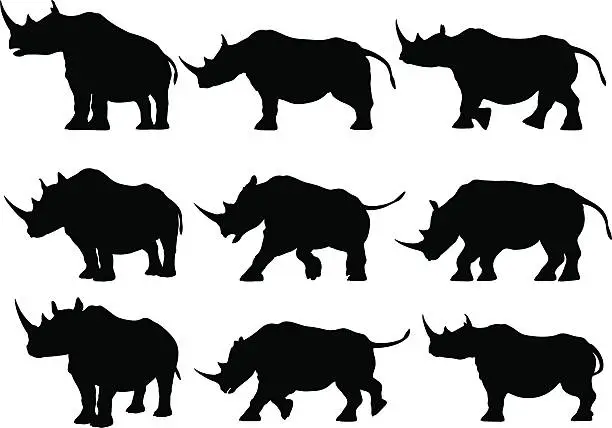 Vector illustration of Rhinoceros Silhouettes