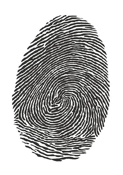 Vector illustration of Illustration fingerprint of a thumb