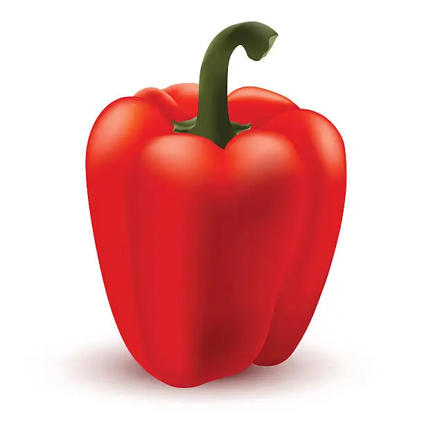 Vector illustration of Red Pepper