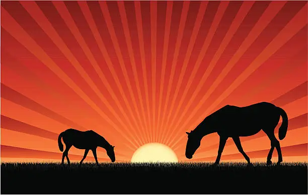 Vector illustration of Two horses at sunset