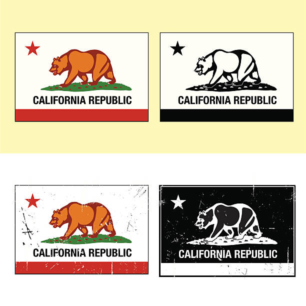 Who knows how to party? Series of California Flags. Bottom two have distressed effects. san francisco flag stock illustrations