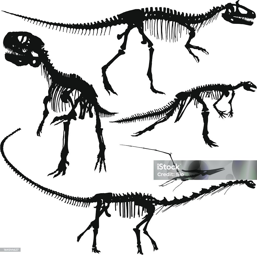 Dinosaur Silhouettes Highly-detailed dinosaur skeleton silhouettes. Dinosaur stock vector