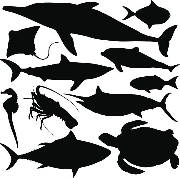 ilustraciones, imágenes clip art, dibujos animados e iconos de stock de siluetas de peces - tuna sea underwater fish