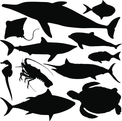 Sea life sea animal silhouettes.