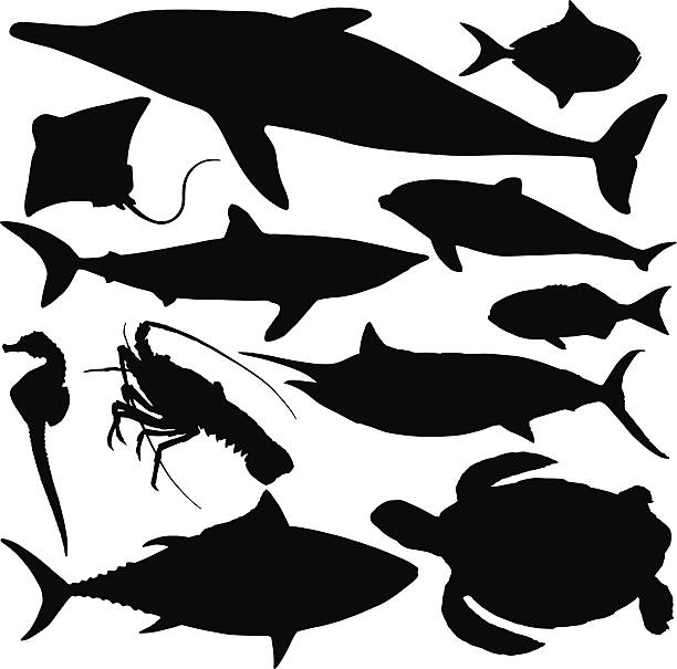 Sealife Silhouettes Sea life sea animal silhouettes. fish silhouettes stock illustrations