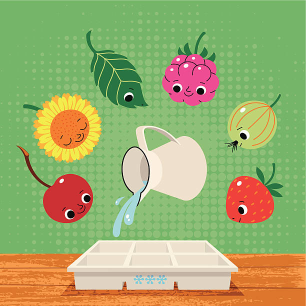 illustrations, cliparts, dessins animés et icônes de summer berry fruits frais et de plantes pour geler. - raspberry berry fruit fruit backgrounds