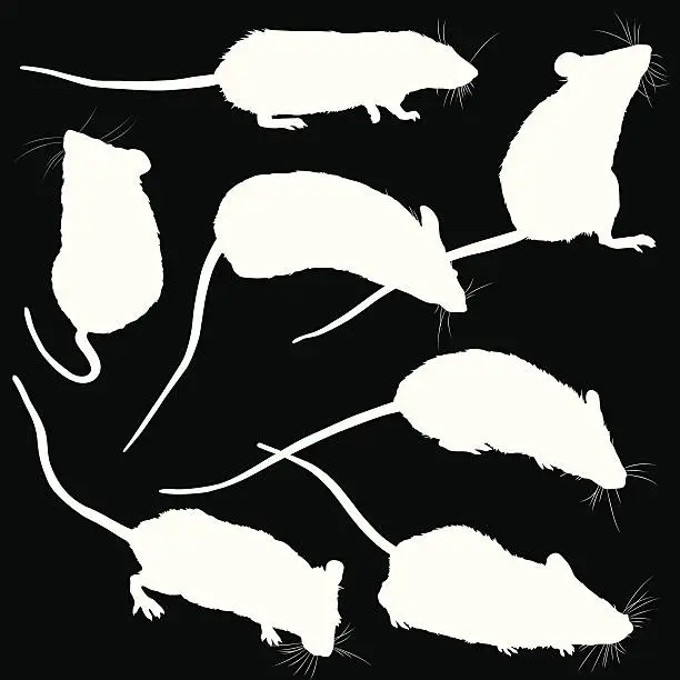 Vector illustration of Mice Silhouettes