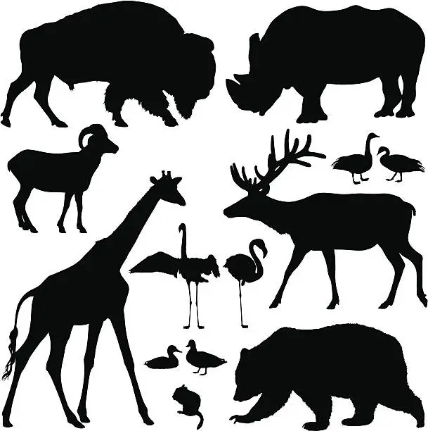 Vector illustration of Animal Silhouettes
