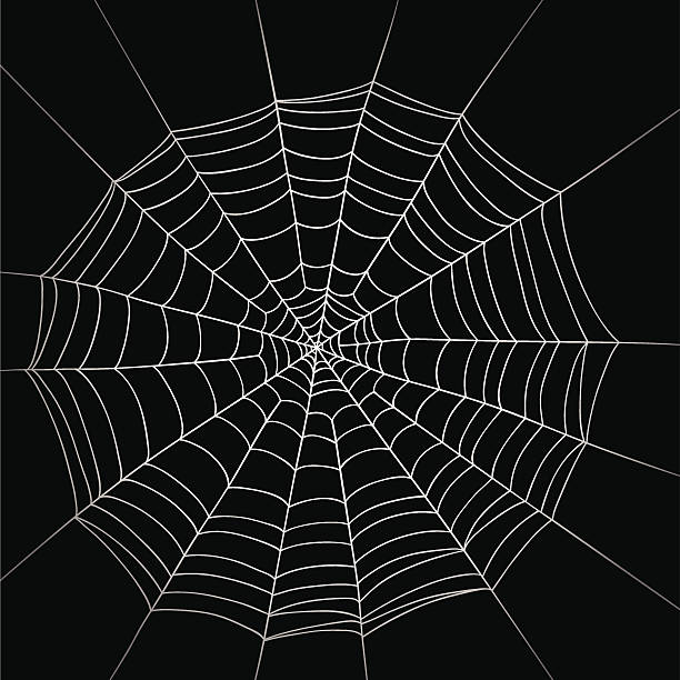 Cobwed (vector) The meshes of a spider's web. spider web stock illustrations