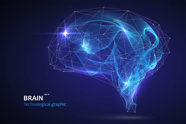 ilustraciones, imágenes clip art, dibujos animados e iconos de stock de gráfico cerebral hecho de partículas aerodinámicas, ilustración vectorial. - cerebelo