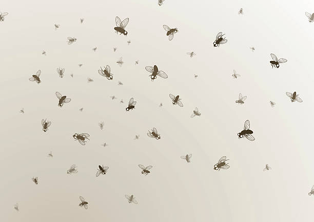 Many large and small black flies on a tan background vector art illustration