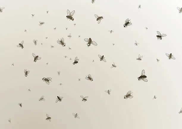 Vector illustration of Many large and small black flies on a tan background