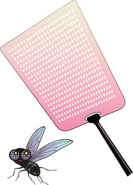 Fly and swatter vector art illustration