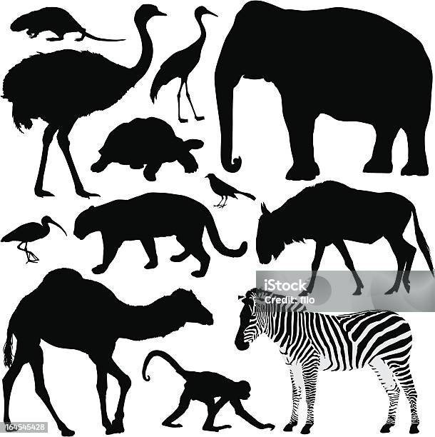 Animal Silhouettes Stock Illustration - Download Image Now - In Silhouette, Emu, Bird