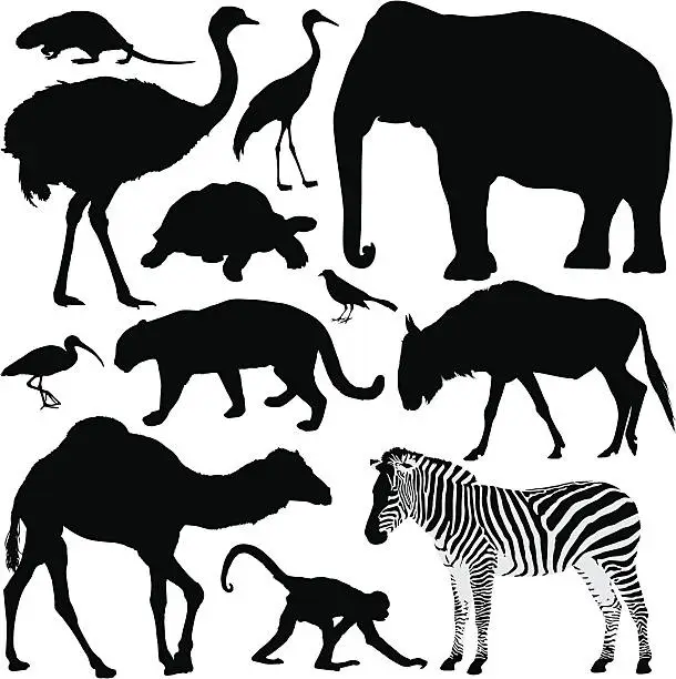 Vector illustration of Animal Silhouettes