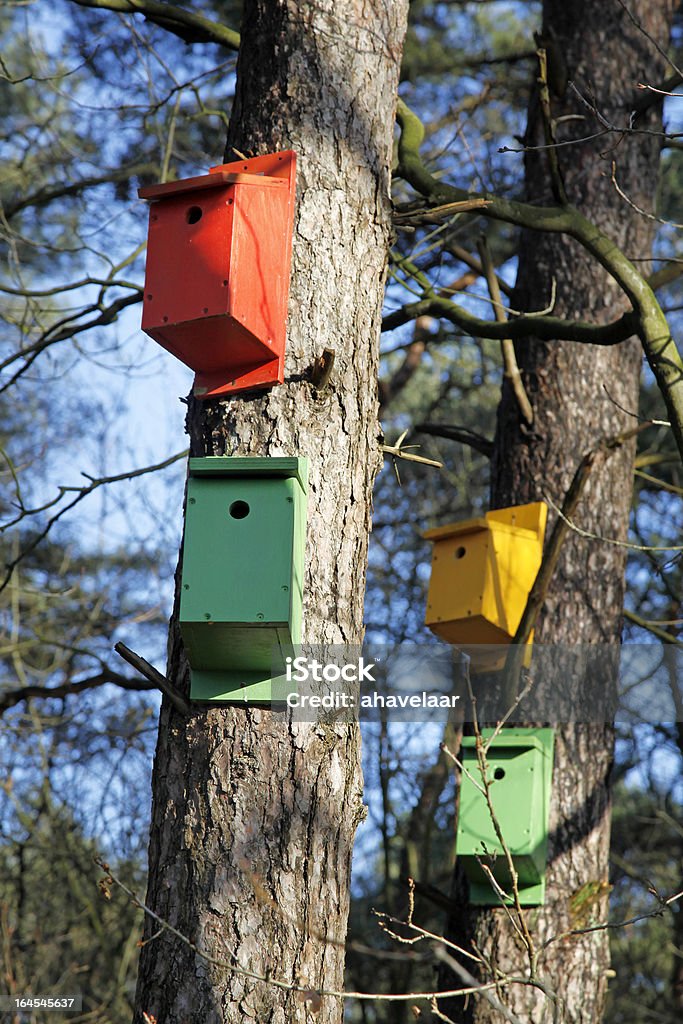Quatro colourfull ninho caixas - Foto de stock de Amarelo royalty-free