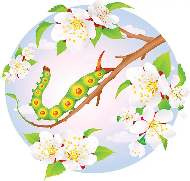 Vector illustration of Beautiful caterpillar in the spring