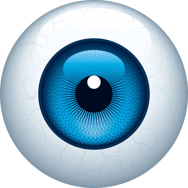 Ojos Azules Vectores Libres de Derechos - iStock Ojos Azules Vectores Libres de Derechos - iStock