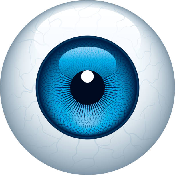 illustrazioni stock, clip art, cartoni animati e icone di tendenza di bulbo oculare - occhio di vetro