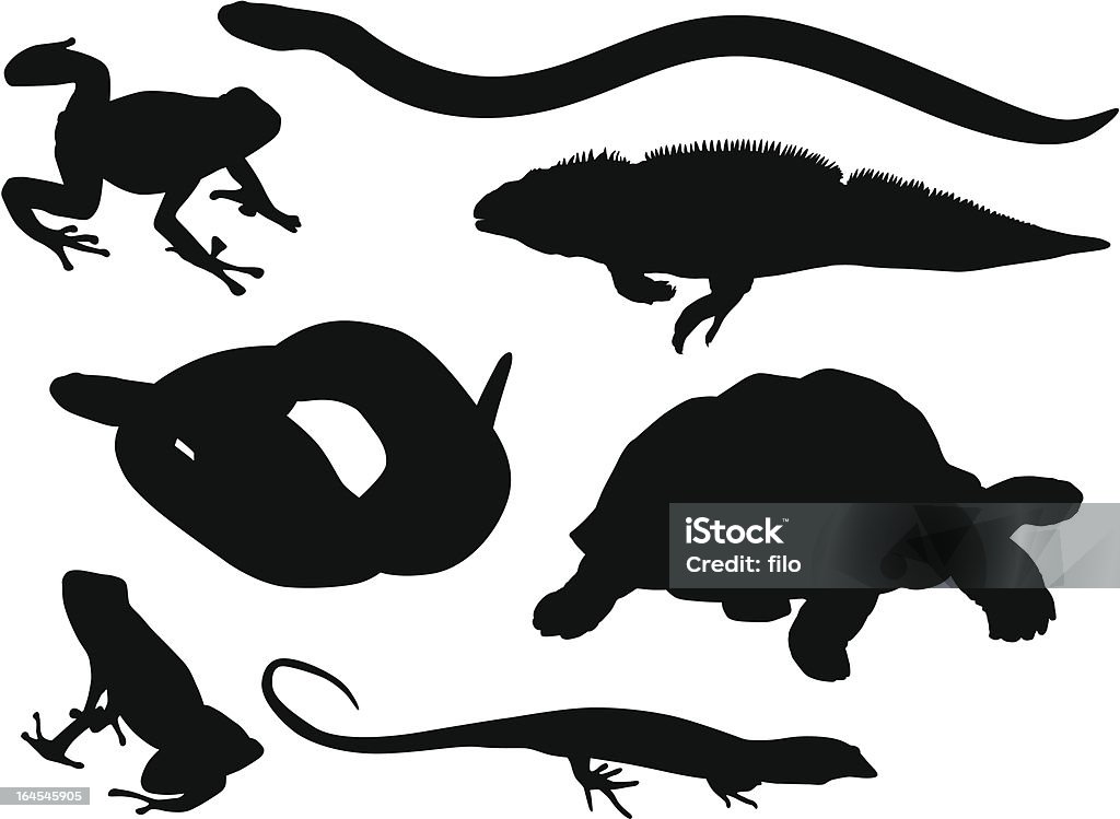 Reptiles and Amphibians A collection of highly-detailed reptiles and amphibians. Frog stock vector