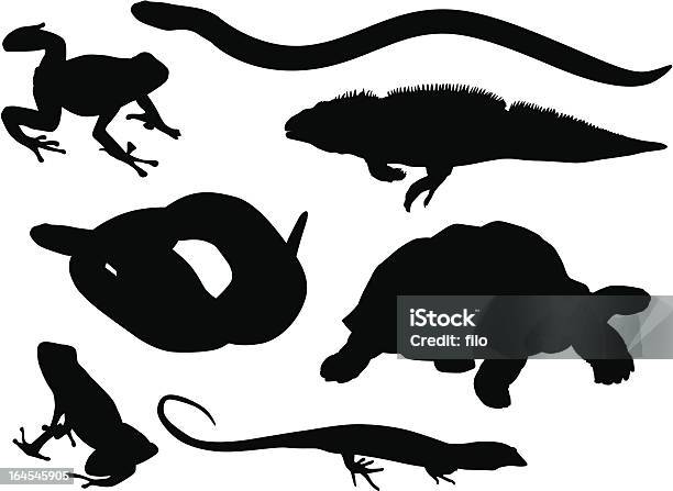 Reptiles And Amphibians Stock Illustration - Download Image Now - Frog, In Silhouette, Turtle