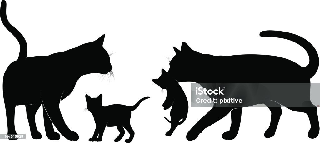 Cats family. Detailed silhouettes set of a cats family. Kitten stock vector