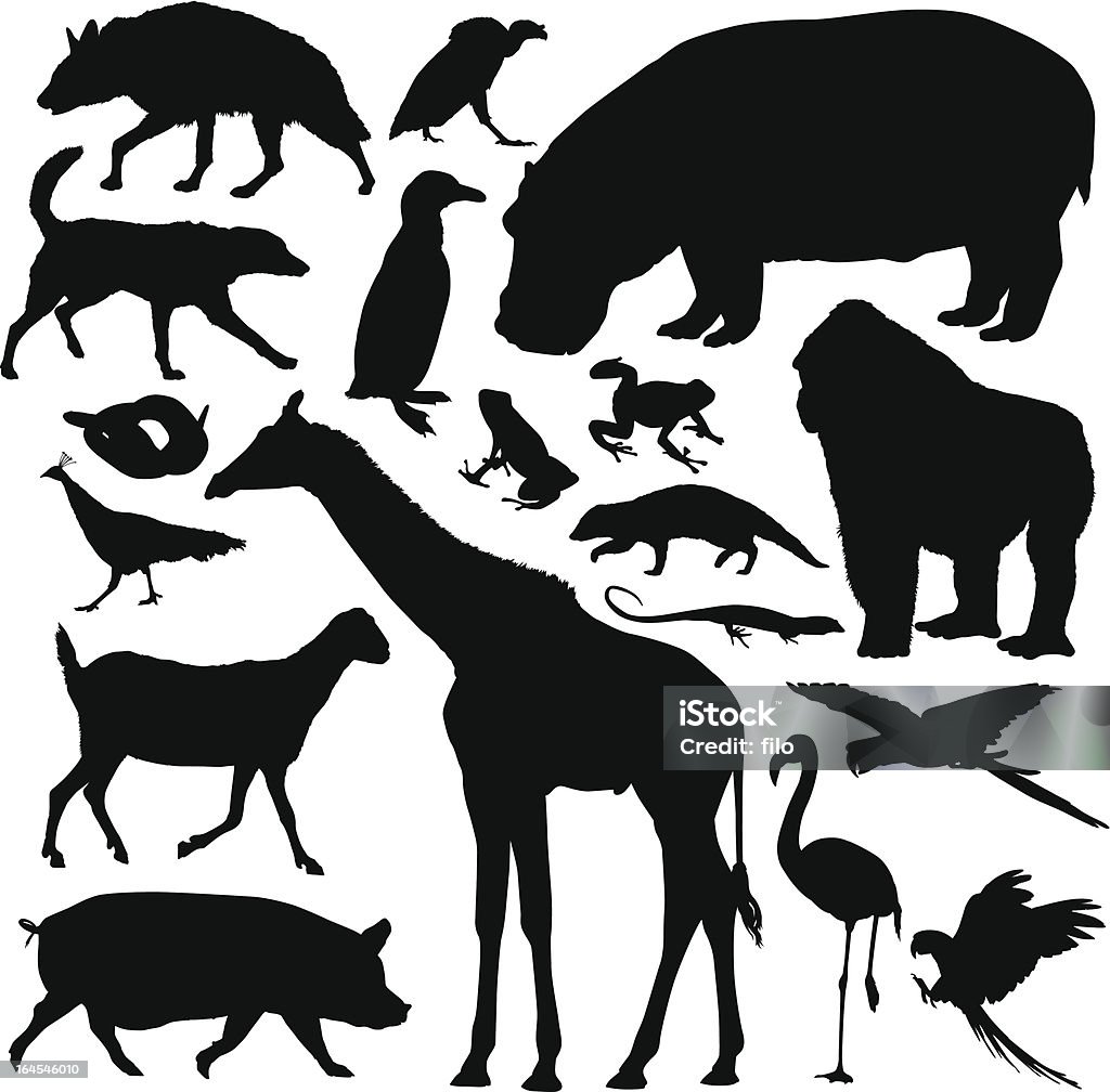 Zwierzęta, - Grafika wektorowa royalty-free (Temat zwierząt)